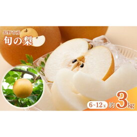 【ふるさと納税】長野市産 梨 3kg（6～12玉）【2026年9月上旬以降発送予定】(さらしな青果) | 梨 人気 おすすめ フルーツ 果物 なし ナシ 和梨 長野県 長野市 信州 信濃 ふるさと納税