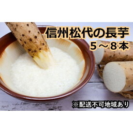 【ふるさと納税】信州の長芋【調理しやすい食べきりサイズ】5～8本入り