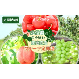【ふるさと納税】2026年産フルーツ 定期便 3ヶ月 長野 季節のフルーツ さくらんぼ チェリー 桃 シャインマスカット ぶどう シャイン マスカット 果物 長野県 長野市 定期 お楽しみ 3回 長野県長野市 　お届け：2026年7月中旬～9月中旬