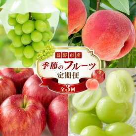 【ふるさと納税】矢島農園　 長野市産 〇季節のフルーツ〇8月～10月定期便　桃・シャインマスカット・シナノスイート ※オンライン限定 | 桃 シャインマスカット ぶどう りんご フルーツ 果物 定期便 国産 送料無料 長野県 長野市 信州 信濃 ふるさと納税