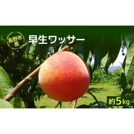 【ふるさと納税】牧野果樹園　長野市産早生ワッサー約5kg(12～18個） | 桃 フルーツ 果物 希少 人気 おすすめ ギフト プレゼント 送料無料 長野県 長野市 信州 信濃 ふるさと納税