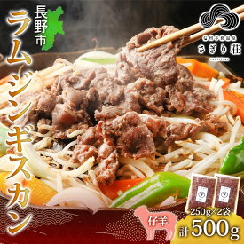 【ふるさと納税】長野県 不動温泉 さぎり荘 謹製 ラムジンギスカン 250g×2袋 計500g 羊 肉 味付き ラム ジンギスカン 焼肉 BBQ 冷凍 小分け お取り寄せ 産地直送 信州新町 送料無料 長野市