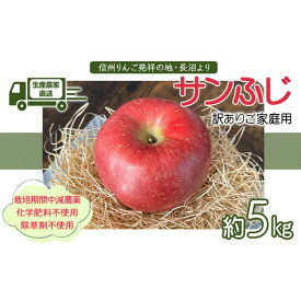 【ふるさと納税】生産農家直送 人にやさしい 長沼りんご・サンふじ5kg（ご家庭用）