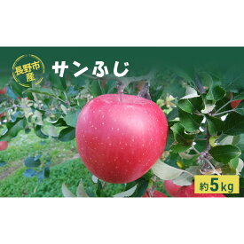 【ふるさと納税】牧野果樹園　長野市産「サンふじ」約5kg（10～18玉） | りんご フルーツ 果物 林檎 リンゴ アップル くだもの サンふじ 人気 おすすめ ギフト プレゼント 送料無料 長野県 長野市 信州 信濃 ふるさと納税