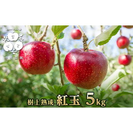 【ふるさと納税】フルーツファーム中村農園　【9月下旬発送 先行予約】樹上熟成　紅玉 5kg | りんご 紅玉 樹上熟成 林檎 人気 おすすめ 果物 フルーツ 旬 赤いりんご アップルパイ 製菓用 加工用 送料無料 長野県 長野市 信州 信濃 ふるさと納税