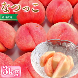 【ふるさと納税】前島農家　なつっこ約3kg（8個～12個） | 桃 フルーツ 果物 旬 人気 おすすめ ギフト プレゼント 送料無料 長野県 長野市 信州 信濃 ふるさと納税