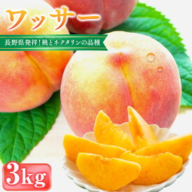 【ふるさと納税】前島農家　ワッサー約3kg（9個～12個） | 桃 フルーツ 果物 旬 人気 おすすめ ギフト プレゼント 送料無料 長野県 長野市 信州 信濃 ふるさと納税