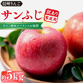 【ふるさと納税】前島農家　信州りんご・サンふじ（家庭用）約5kg（12個～18個） | りんご フルーツ サンふじ送料無料 長野県 長野市 信州 信濃 ふるさと納税