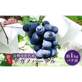 【ふるさと納税】ぶどう 訳あり 長野市松代産 ナガノパープル 約1kg バラ房 果物 ブドウ 葡萄 フルーツ デザート おやつ 種なし TAKANO農園 信州 | バラ房 果物 ブドウ 葡萄 フルーツ デザート おやつ 種なし TAKANO農園 信州