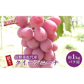 【ふるさと納税】高野農園　ぶどう 長野市松代産 訳ありクイーンニーナ 約1kg バラ房 葡萄 ブドウ 果物 フルーツ デザート おやつ TAKANO農園 信州 果物類 マスカット ギフト 手土産 | クイーンニーナ 長野 信州 ふるさと納税