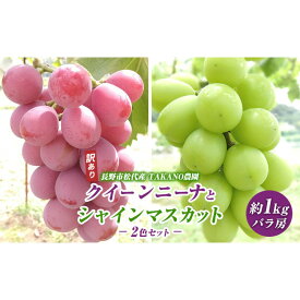 【ふるさと納税】高野農園　ぶどう 訳あり 先行予約 シャインマスカット クイーンニーナ 計約1kg 種なし 不揃い | シャインマスカット クイーンニーナ 種なし フルーツ ブドウ 人気 おすすめ 果物 産地直送 長野県 長野市 信州 信濃 ふるさと納税