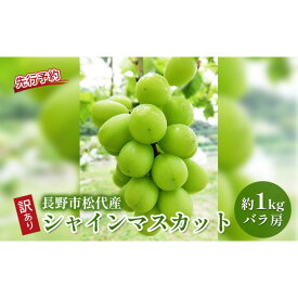 【ふるさと納税】長野市松代産 訳ありシャインマスカット 約1kg（バラ房） | バラ房 葡萄 ブドウ フルーツ 果物 シャイン マスカット デザート おやつ TAKANO農園 信州