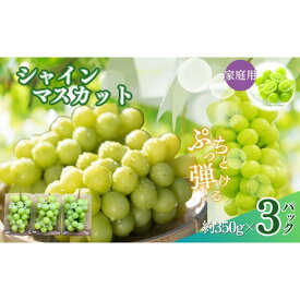【ふるさと納税】【訳あり】長野市産 シャインマスカット 約1.0kg（ご家庭用）【2026年9月下旬以降出荷予定】わけあり 長野 | ぶどう 訳あり シャインマスカット 約1kg 人気 おすすめ フルーツ 果物 葡萄 ブドウ 種なし 長野県 長野市 信州 信濃 ふるさと納税