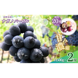 【ふるさと納税】おかべ農園　長野市産 ナガノパープル（贈答用）2房【2026年9月上旬頃発送予定】 | フルーツ 果物 ナガノパープル 葡萄 ブドウ ぶどう 人気 おすすめ ギフト 長野県 長野市 信州 信濃 ふるさと納税