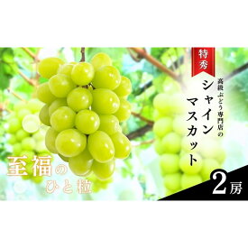 【ふるさと納税】長野市産シャインマスカット【特秀】2房【2026年9月中旬以降出荷分】（タマファーム） | 葡萄 ブドウ フルーツ 果物 シャイン マスカット デザート おやつ 信州