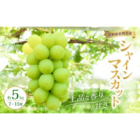 【ふるさと納税】2026年産 長野県長野市産シャインマスカット 約5kg 7房～11房 シャイン マスカット 葡萄 ぶどう 果物 フルーツ 信州 | シャイン マスカット 葡萄 ぶどう 果物 フルーツ 信州