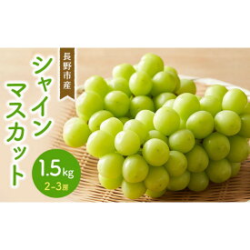 【ふるさと納税】シャインマスカット 1.5kg 2-3房 | シャインマスカット ぶどう フルーツ 果物 国産 人気 おすすめ ギフト プレゼント 送料無料 長野県 長野市 信州 信濃 ふるさと納税