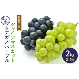 【ふるさと納税】シャインマスカット＆ナガノパープル2kg　3-5房 | 食べ比べ 長野市産 フルーツ 果物 ぶどう