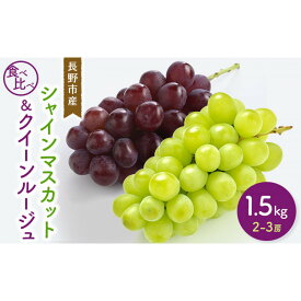 【ふるさと納税】【セット】シャインマスカット＆クイーンルージュ 1.5kg 2-3房 | シャインマスカット クイーンルージュ ぶどう フルーツ 果物 セット 食べ比べ 国産 人気 おすすめ ギフト プレゼント 送料無料 長野県 長野市 信州 信濃 ふるさと納税