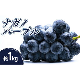 【ふるさと納税】小松農園　2026年産先行予約ナガノパープル 1kg 果物 フルーツ ぶどう 長野県 | ナガノパープル ぶどう フルーツ 果物 国産 人気 おすすめ ギフト プレゼント 送料無料 長野県 長野市 信州 信濃 ふるさと納税