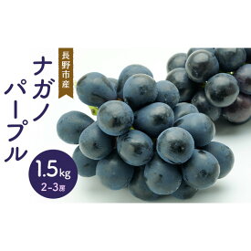 【ふるさと納税】ナガノパープル 1.5kg 2-3房 | 長野市産 フルーツ 果物 ぶどう