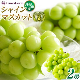 【ふるさと納税】タマファーム　長野市産シャインマスカット【特秀】2房【2026年9月中旬以降出荷分】（タマファーム） | シャインマスカット ぶどう 葡萄 フルーツ 果物 家庭用 人気 おすすめ 送料無料 長野県 長野市 信州 信濃 ふるさと納税