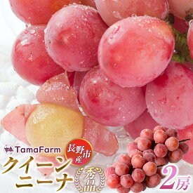【ふるさと納税】タマファーム　長野市産 クイーンニーナ 【秀品】2房 | クイーンニーナ ぶどう 葡萄 フルーツ 果物 タマファーム 人気 おすすめ 送料無料 長野県 長野市 信州 信濃 ふるさと納税