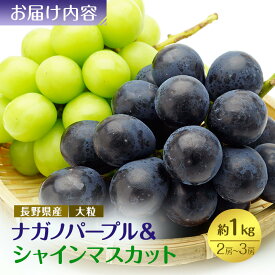 【ふるさと納税】食べ比べ「ナガノパープル&シャインマスカット」約1kg （2～3房）入【2026年9月以降発送予定】(さらしな青果) | ぶどう 食べ比べ ナガノパープル シャインマスカット 人気 おすすめ 葡萄 ブドウ フルーツ 果物 長野県 長野市 信州 信濃 ふるさと納税