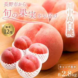 【ふるさと納税】金オ岡村青果株式会社　桃 先行予約 川中島白桃 約2.8kg 糖度12度 白桃 フルーツ 果物 オンライン決済限定 | 桃 フルーツ 果実 甘い 人気 おすすめ ギフト プレゼント 送料無料 長野県 長野市 信州 信濃 ふるさと納税