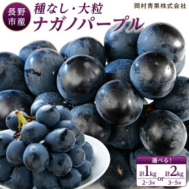 【ふるさと納税】金オ岡村青果株式会社　長野市産 ナガノパープル ＜ 選べる 1kg ／ 2kg ＞【2026年9月以降出荷分】果物 くだもの フルーツ デザート 種無し 大粒 旬 長野市 | ぶどう フルーツ 果物 国産 人気 おすすめ 送料無料 長野県 長野市 信州 信濃