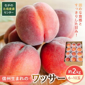 【ふるさと納税】長野県長野市産　旬の桃ワッサー約2kg箱 | 桃 もも モモ フルーツ 果物 旬 人気 おすすめ 送料無料 長野県 長野市 信州 信濃 ふるさと納税