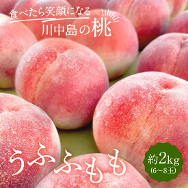 【ふるさと納税】すーさんの果樹屋　【先行予約】川中島の桃 約2kg 品種おまかせ 7月下旬～8月上旬発送予定 | もも 桃 フルーツ 果実 産地直送 人気 おすすめ ギフト プレゼント 送料無料 長野県 長野市 信州 信濃 ふるさと納税