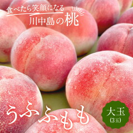 【ふるさと納税】すーさんの果樹屋　【先行予約】川中島の桃 大玉3玉 品種おまかせ 7月下旬～8月上旬発送予定 | もも 桃 フルーツ 果実 産地直送 人気 おすすめ ギフト プレゼント 送料無料 長野県 長野市 信州 信濃 ふるさと納税