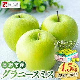 【ふるさと納税】紅玉屋　際立つ酸味！ 長野市産 グラニースミス 約4.5kg （お菓子作り・酸っぱいりんご好き専用） 希少品種 林檎 クッキングアップル | りんご 林檎 フルーツ 果物 おすすめ 送料無料 長野県 長野市 信州 信濃 ふるさと納税