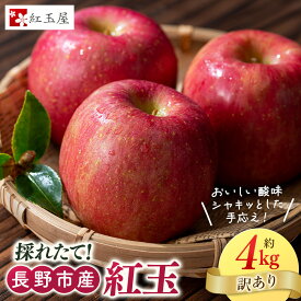 【ふるさと納税】紅玉屋 長野市産 紅玉 4kg【2026年9月下旬以降の出荷分】（紅玉屋） | りんご 林檎 フルーツ 果物 送料無料 長野県 長野市 信州 信濃 ふるさと納税