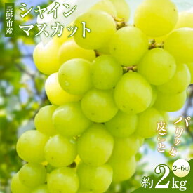 【ふるさと納税】矢島農園　 長野市産 シャインマスカット2kg(2～6房)【2026年9月下旬頃～発送予定】 | シャインマスカット ぶどう フルーツ 果物 国産 人気 おすすめ ギフト プレゼント 送料無料 長野県 長野市 信州 信濃 ふるさと納税