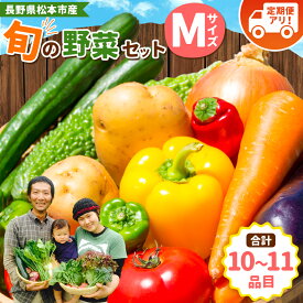 【ふるさと納税】子育て農家の野菜セット（Mサイズ）農薬・化学肥料不使用 ｜ ふるさと納税 野菜 セット おまかせ 長野県 松本市産 松本市 定期便 旬の野菜 農薬不使用 無農薬 化学肥料不使用