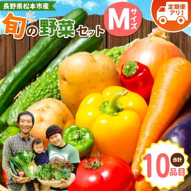 【ふるさと納税】子育て農家の野菜セット（Mサイズ）農薬・化学肥料不使用 ｜ ふるさと納税 野菜 セット おまかせ 長野県 松本市産 松本市 旬の野菜 農薬不使用 無農薬 化学肥料不使用