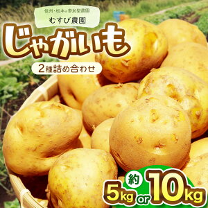 yӂ邳Ɣ[ŁzyIׂzMBEނє_̂Ⴊ2lߍ킹 5kg 10kg | _sgp w엿sgp A엿 R VN {̖  Ⴊ ₳ N 쌧 {