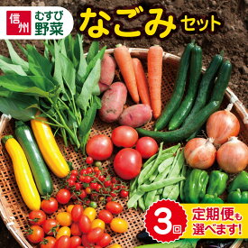 【ふるさと納税】野菜 セット おまかせ 長野県松本市産 旬 野菜（6～7種） むすび野菜