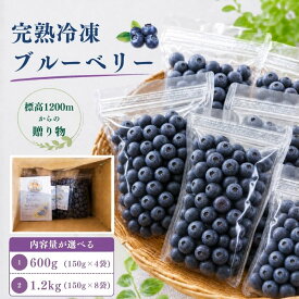 【ふるさと納税】【先行受付：8月～発送】【選べる内容量】【栽培期間中農薬不使用】標高1200mで育った完熟冷凍ブルーベリー 600g or 1.2kg │ 信州 ブルーベリー フルーツ 完熟 急速冷凍 甘味 酸味 松本 奈川 ふるさと納税 長野県