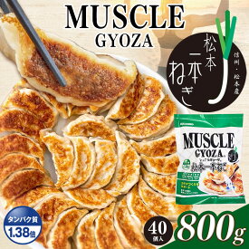 【ふるさと納税】【選べる定期便】 MUSCLE GYOZA ～ マッスルギョーザ ～ 松本 一本ねぎ｜ふるさと納税 餃子 ギョーザ ねぎ ネギ タンパク質 低糖質 マッスルギョーザ 長野県 松本市