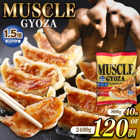 【ふるさと納税】【選べる】MUSCLE GYOZA ～マッスルギョーザ～ 単品 or 3パックセット | 餃子 ギョーザ 低糖質 マッスルギョーザ マッスル餃子 ダイエット 健康志向 信州 加工品 総菜 長野県 松本市
