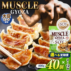 【ふるさと納税】【選べる定期便】　MUSCLE GYOZA SOY ～ マッスルギョーザ ソイ ～｜ふるさと納税 餃子 ギョーザ 大豆 ソイ 低糖質 マッスルギョーザ マッスル餃子 ダイエット 健康志向 長野県 松本市