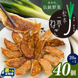 【ふるさと納税】 【定期便も選べる】伝統野菜松本一本ねぎ使用　松本一本ねぎ餃子｜餃子 ギョーザ 低糖質 マッスルギョーザ マッスル餃子 ダイエット 健康志向 長野県 松本市
