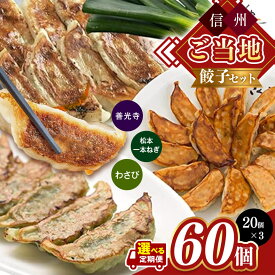 【ふるさと納税】【定期便も選べる】信州 ご当地 餃子 セット | 松本一本ねぎ餃子 善光寺餃子 マッスル餃子 ダイエット 健康志向 わさび餃子 ねぎ わさび ニンニク 餃子 松本市 長野県 ふるさと納税