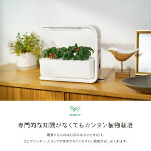 �y�ӂ邳�Ɣ[�ŁzIZUMI�@���k�͔|�L�b�g Hugvege�@SA-H133A-W�@�i�{�́A�|�n�X�|���W�A�t��A�����_���^�l2��ށj