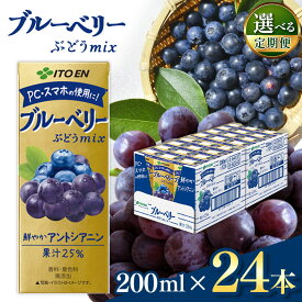 【ふるさと納税】【定期便も選べる】ブルーベリー ミックス ジュース 200ml 24本 ｜伊藤園 ぶどう ミックス果汁無添加 紙パック 環境に野菜しい 大容量 飲み物 ドリンク ジュース 健康 美容 長野県 松本市