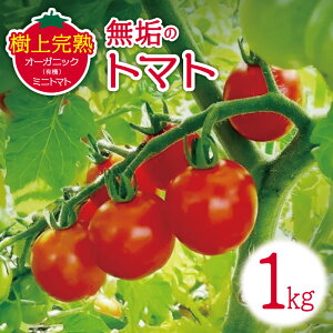 【ふるさと納税】【先行受付】無垢のトマト(樹上完熟オーガニック(有機)ミニトマト)1kg | トマト ミニトマト とまと みにとまと オーガニック 野菜 先行受付 完熟 フレッシュ ヘルシー ふ