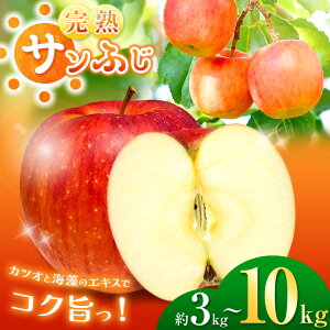 yӂ邳Ɣ[Łzys\zyIׂznTӂ ƊC̃GLXŃRNI|ISʐ^ԁXInTӂ  3kg  5kg  10kg b Tӂ ӂ  S ь ʕ t